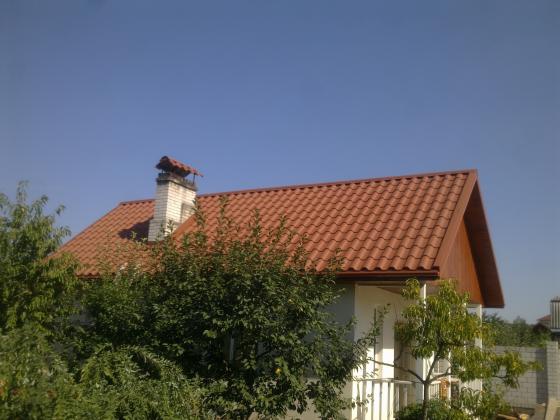 Бортничі